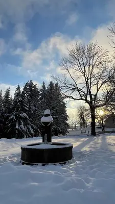L'établissement Auberge du Cezallier en hiver