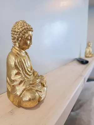 Plan de l'établissement Le Bouddha Besse