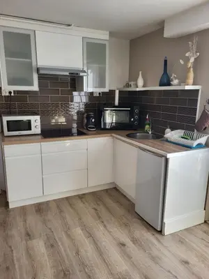 Cuisine ou kitchenette dans l'établissement The apartment