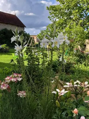 Jardin de l'établissement Appartement Duplex