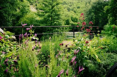 Jardin de l'établissement Moulin de Latreille
