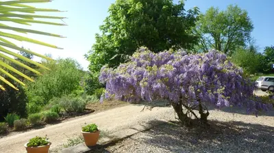 Jardin de l'établissement Mirabelle