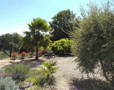 Jardin de l'établissement Mirabelle