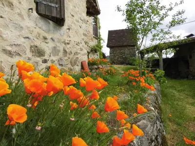 Jardin de l'établissement Chez Claire