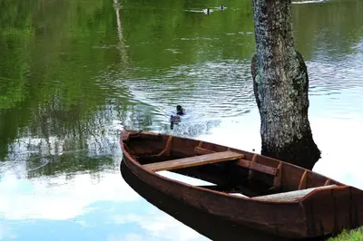 Vue sur la rivière ou le fleuve situé(e) à proximité de l'hôtel