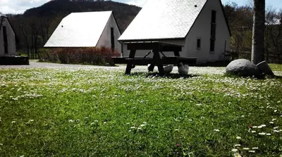 Jardin de l'établissement Rivière & Cottage 4 étoiles en Auvergne - Cantal Auvergne - Valette & Riom PR