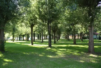 Jardin de l'établissement Camping les Borgnes Saint-Sozy