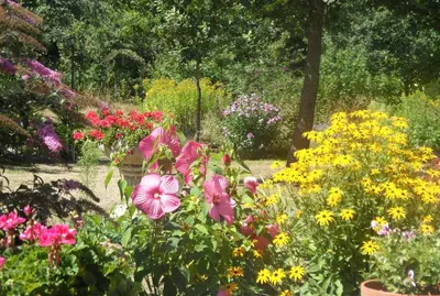 Jardin de l'établissement Domaine du Sable