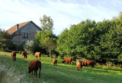 Animaux dans le B&B/chambre d'hôtes ou à proximité