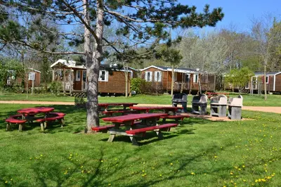 Jardin de l'établissement Camping Padimadour