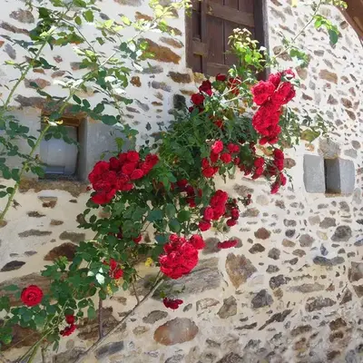Maison de Vacances Le Ranfort