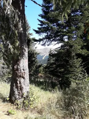 Paysage naturel près de la maison de vacances
