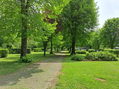 Jardin de l'établissement Camping Le Soulhol