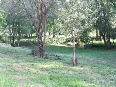 Jardin de l'établissement Le Chemin des sens