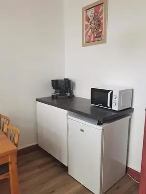 Cuisine ou kitchenette dans l'établissement Les Camélias