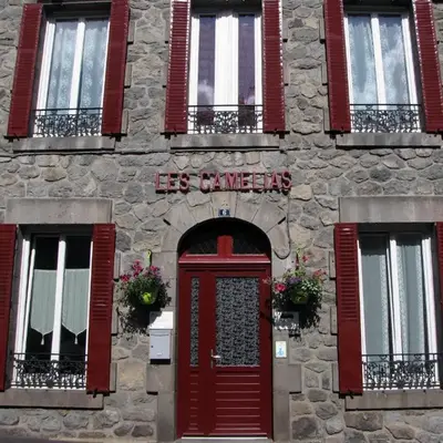 Les Camélias
