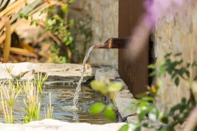 Jardin de l'établissement Maison d'Hôtes La Maison de Léopold
