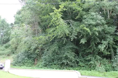 Paysage naturel près de l'appartement