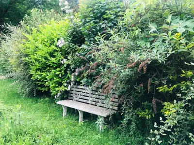 Jardin de l'établissement chambres d'hôtes du puy blanc