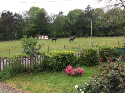 Jardin de l'établissement chambres d'hôtes du puy blanc