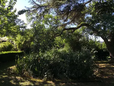 Jardin de l'établissement maison courbarien