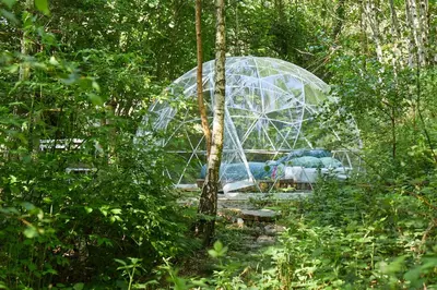 Jardin de l'établissement les bois de saint auvent