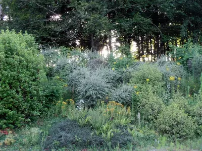 Jardin de l'établissement les bois de saint auvent