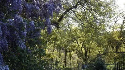 Jardin de l'établissement Chambres d'Hôtes Le Foursou