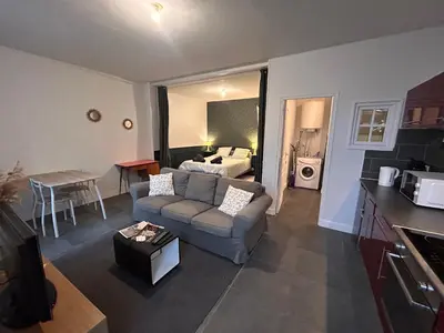 Cuisine ou kitchenette dans l'établissement L'Albuconis 1 Grand Studio