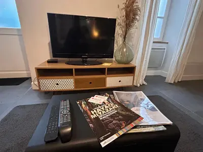 Télévision ou salle de divertissement dans l'établissement L'Albuconis 1 Grand Studio