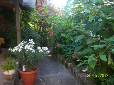 Jardin de l'établissement Chambres d'hôtes Andrea