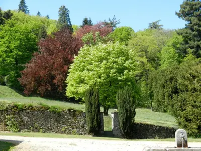 Jardin de l'établissement Domaine de Montmery sa piscine son jardin ses espaces