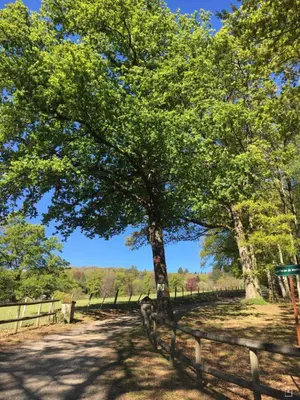 Paysage naturel près de la maison de vacances