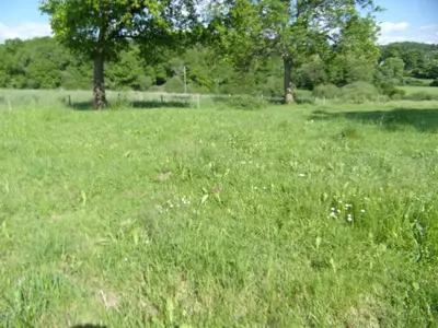 Paysage naturel près de la maison de vacances