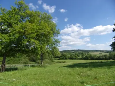 Paysage naturel près de la maison de vacances