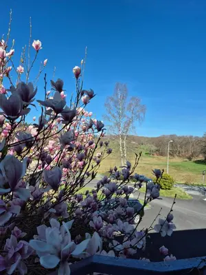 Jardin de l'établissement Logis Hotel Les Gravades Ussel
