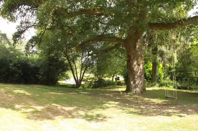 Jardin de l'établissement Domaine Les Filloux