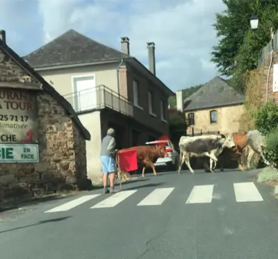 Quartier de l'appartement ou autre quartier proche