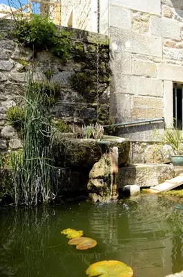 Paysage naturel près de la maison de vacances