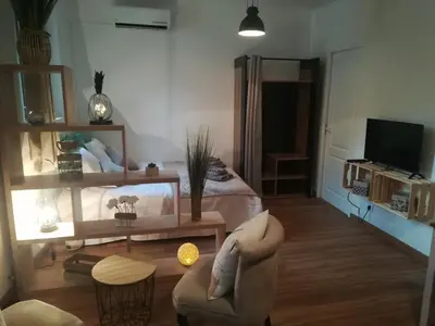 Télévision ou salle de divertissement dans l'établissement L'Appart Montignac Lascaux