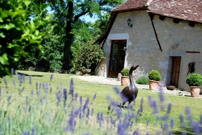 Animaux dans l'hôtel ou à proximité