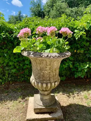 Jardin de l'établissement Villa St. Hubert