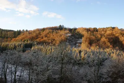 Paysage naturel près de le lodge