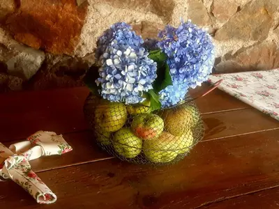 Nourriture dans la maison de vacances ou à proximité