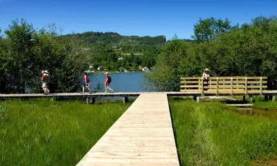 Paysage naturel près de le camping