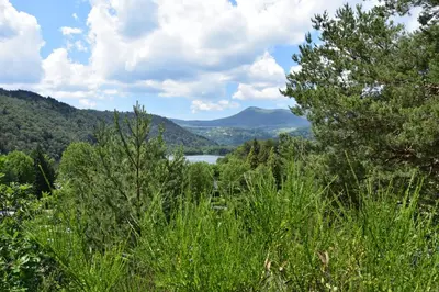 Paysage naturel près de le camping
