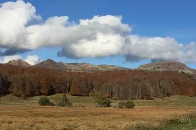 Paysage naturel près de l'appartement