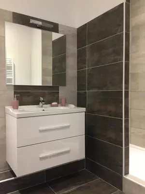 Salle de bains dans l'établissement Magnifique et lumineux appartement au cœur du Sancy