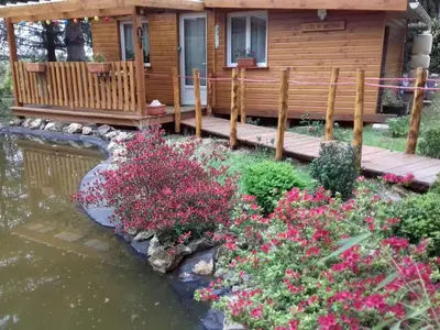 Jardin de l'établissement gite de beletou