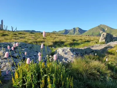 Paysage naturel près de l'hôtel